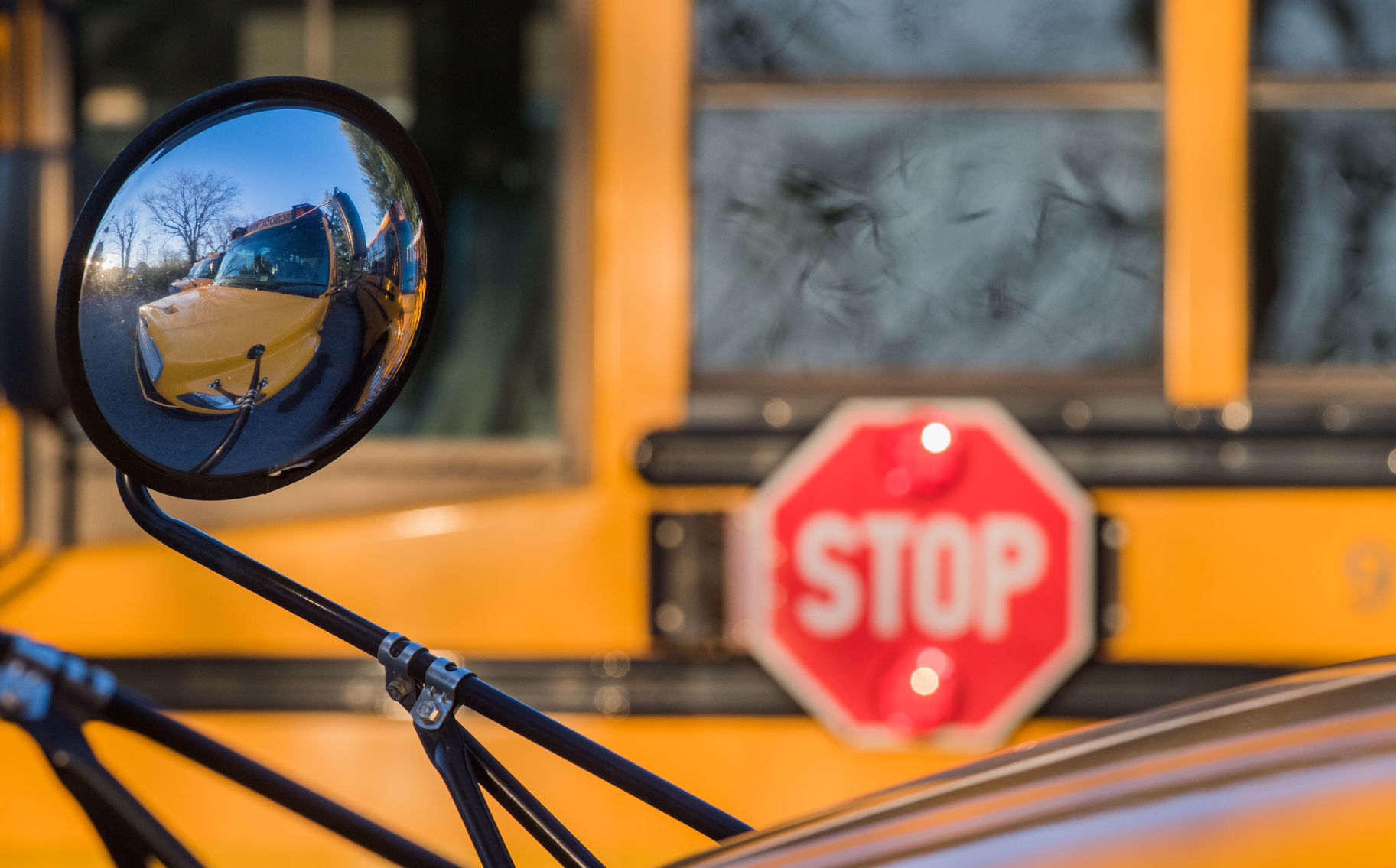School bus